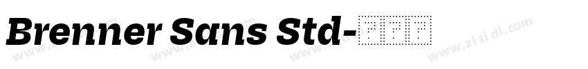 Brenner Sans Std字体转换 Brenner Sans Std字体转换